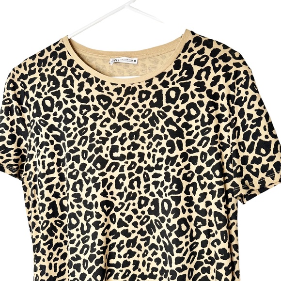 Zara Leopard Tee Medium High Low Hem - Picture 3 of 5